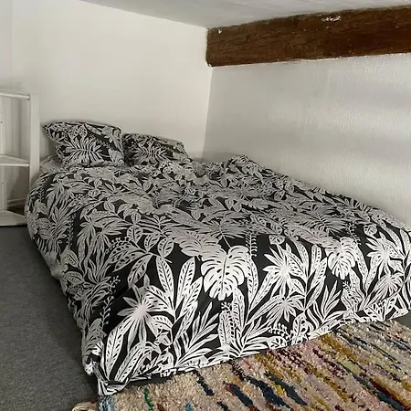 De Caractere Au Coeur Du Centre-ville Apartment Montpellier